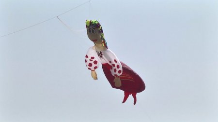 "Кольорове небо": у Скадовську відбувся фестиваль повітряних зміїв