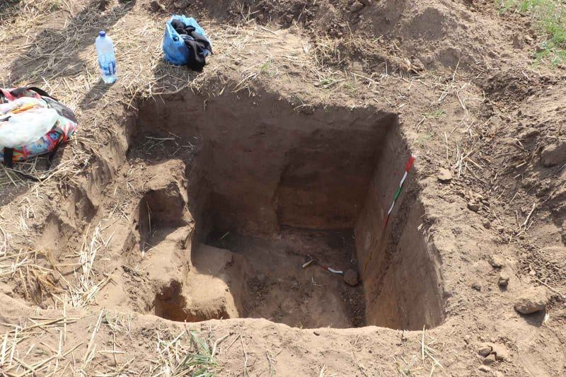 На Херсонщині триває міжнародна археологічна експедиція — новости херсона3