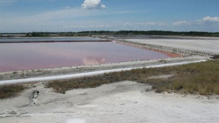 Держпідприємство з видобутку солі в Геройському виставляють на продаж