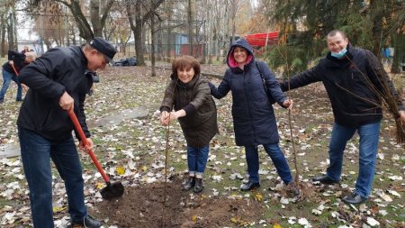 Скадовська громада долучилась до всеукраїнської акції «Створюємо ліси разом»