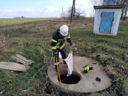 Каланчацькі рятувальники вилучили кубло змій з шахти водонапірної башти