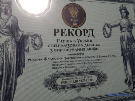 Перша в Україні ділянка люфи на Херсонщині відразу стала «рекордсменкою»