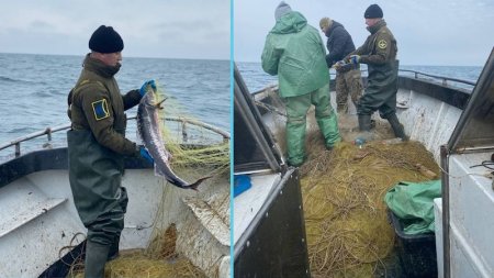 Дванадцять сіток з червонокнижною рибою виявив рибоохоронний патруль неподалік Джарилгача