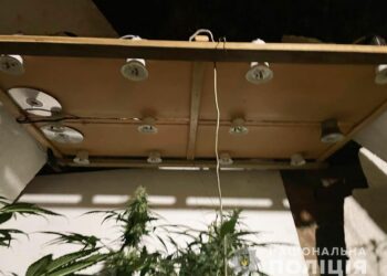 Фітолампи, система вентиляції та автополив – запоріжець ретельно вирощував коноплю | Запорозька