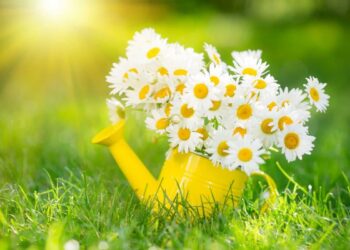 29 липня: дні ангела, традиції та заборони дня