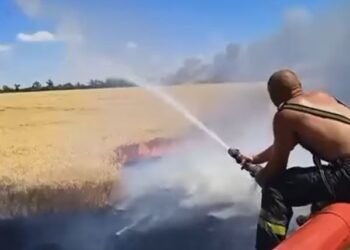 Як вогнеборці Миколаївщини відвойовують у вогня кожен колосок (ВІДЕО)