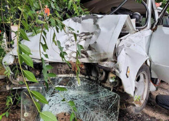 На Дніпропетровщині легковик врізався в дерево. Є постраждалі |   — новости Днепра