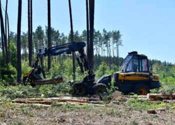 На Рівненщині застосовують сучасні методи ведення лісового господарства (ФОТО)