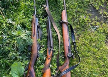 На Сарненщині поліцейські під час опрацювання виклику про домашнє насильство виявили зброю