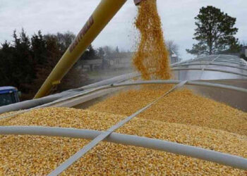 На Волині побудують сухий порт для зберігання агропродукції з інших регіонів