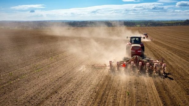 Не допустити голод: як фермери сіють хліб під час війни