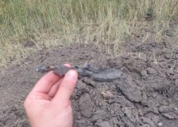 Поцілили по парковій зоні: орки знову обстріляли зі ствольної артилерії Зеленодольськ |   — новости Днепра