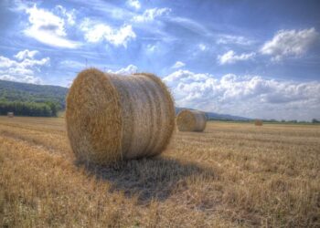 Прогноз погоди на вихідні 23–24 липня: від спеки до грози