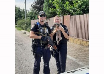 У Дніпрі чоловік викрав породистого песика |   — новости Днепра