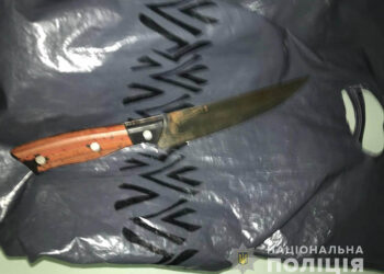 У Кам’янському 19-річний юнак вбив свою матір та її приятельку |   — новости Днепра