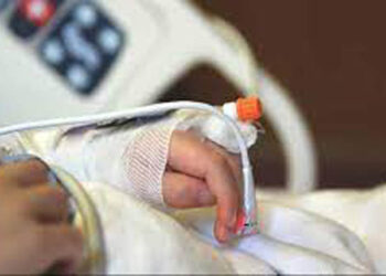 У Кривому Розі 14-річний хлопчик впав із дерева і вдарився головою об бордюр |   — новости Днепра