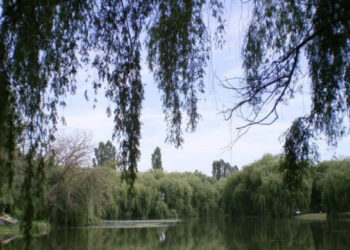 У Рівному в річці Устя потонув чоловік