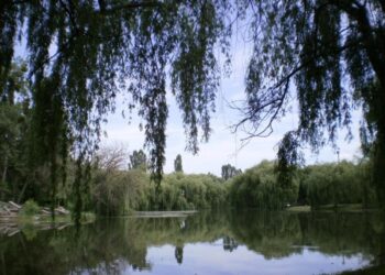 У Рівному в Усті потонув чоловік