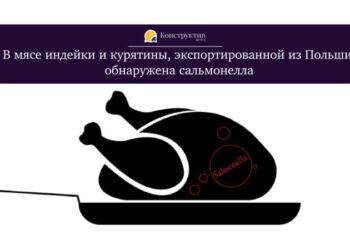 В мясе индейки и курятины, экспортированной из Польши, обнаружена сальмонелла — Новости Одессы