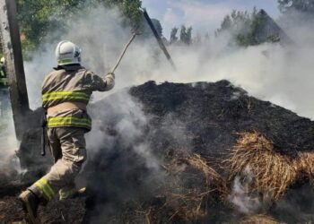 За добу на Рівненщині ліквідували сім пожеж