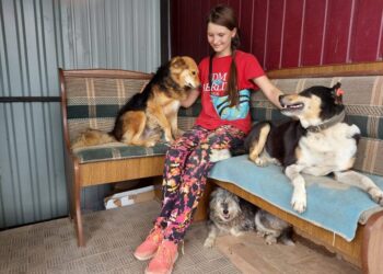 13-річна рівнянка волонтерить в Центрі стерилізації