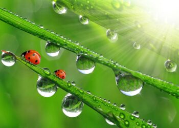 22 серпня на календарі: дні пам`яті, традиції, релігійні свята