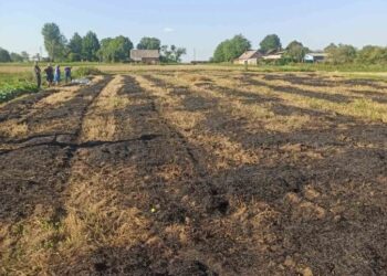 У селі Княже Червоноградського району на присадибній ділянці виявили обгоріле тіло – Новини Львова та області