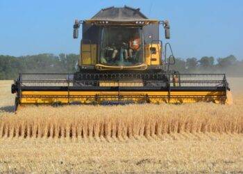Аграрії Дніпропетровщини намолотили понад 2 млн тонн зерна – Новини Кам’янське
