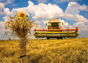 Аграрії Дніпропетровщини завершили збирати ранні культури – Новини Кам’янське