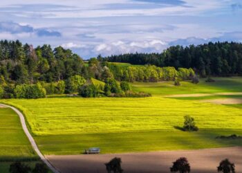Чи мають право на пільгу щодо сплати земельного податку пенсіонери по інвалідності після досягнення пенсійного віку?