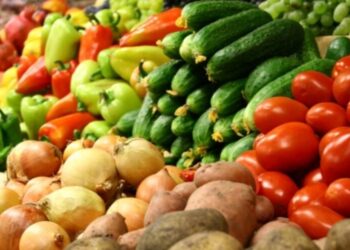 Дніпропетровщина збирає гарний врожай овочів – Новини Кам’янське