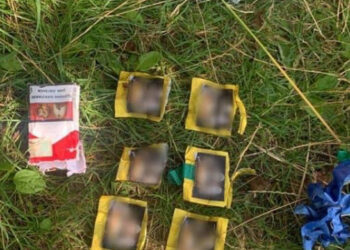 Ймовірну «закладчицю» патрульні виявили сьогодні на Пагорбі Слави у Рівному