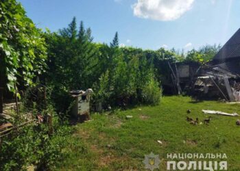 «Коноплі самонасіялися»: на Рівненщині поліцейські знищили незаконні посіви