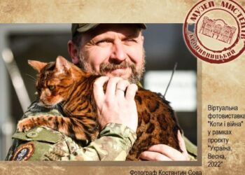 Кропивницький: Музей мистецтв представляє віртуальну фотовиставку «Коти і війна»
