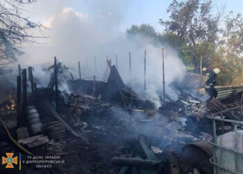 На Дніпропетровщині сталася масштабна пожежа. Загинули домашні тварини |   — новости Днепра