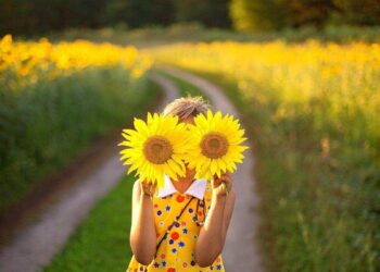 На Тернопільщину повертається спека — Тернопільські новини