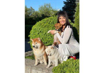 Наша відома землячка Даша Астаф’єва передала притулку для тварин у Нікополі 65 тисяч гривень |   — новости Днепра