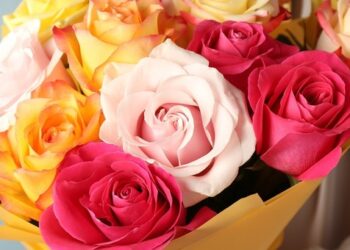 Поради до вибору букета квітів до дня народження | Одеський Кур’єр