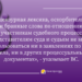 Последствия нецензурной лексики в процессуальных документах, подаваемых суду — Новости Одессы