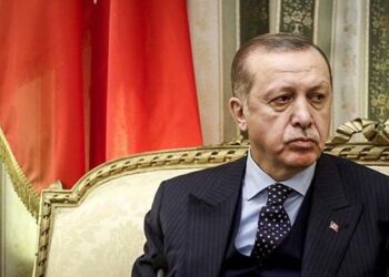 Президент Туреччини Ердоган приїхав до Львова | Новини Політики