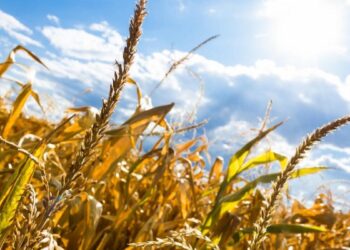 Прогноз погоди на вихідні 27–28 серпня: останній літній вікенд буде дуже спекотним