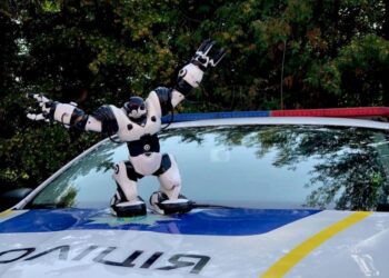 «Робот хоче додому»: у Рівному розшукують власників іграшки (ФОТО)