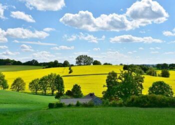 Сплата  земельного податку в умовах дії воєнного стану