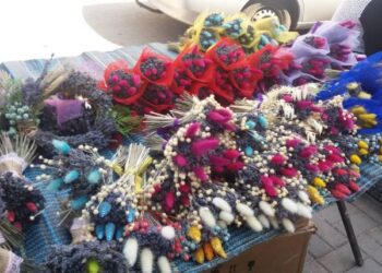 У центрі Кропивницького вирує «яблучний» ярмарок (ФОТО)