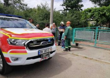 У Рівненському районі рятувальники надали допомогу по звільненню лелеки, що зачепився за проводи електроопори