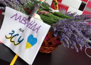 У селищі Мізоч діє дитячий волонтерський рух (ФОТО)