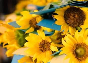 В Українському домі відбулися урочистості з нагоди Міжнародного дня молоді