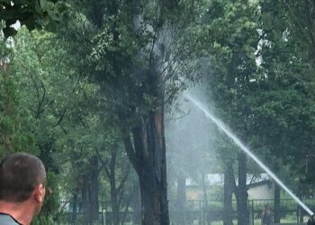 Внаслідок обстрілу Енергодара загинув чоловік з собакою: ще двое поранені