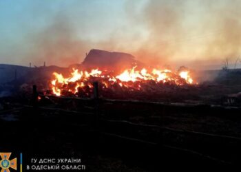 Вночі в Білгород-Дністровському районі горів склад із зерном — Новини Одеської області