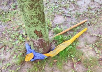 За фактом наруги над Державним Прапором у Рівному розпочато кримінальне провадження (ФОТО+ВІДЕО)